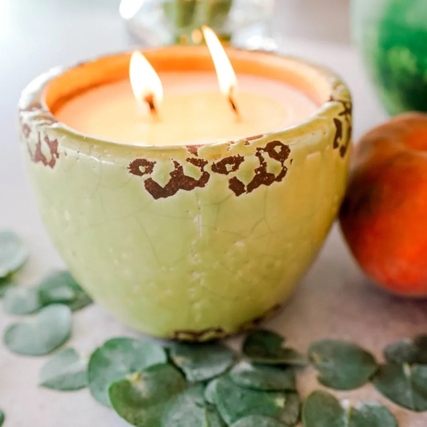 MURPHY's Naturals Mosquito Repellent Ceramic Garden Candle in Green