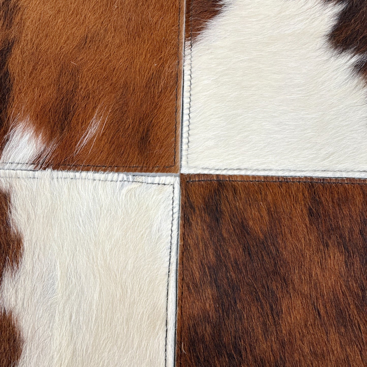 RODEO Cowhide Placemats | Set of 4
