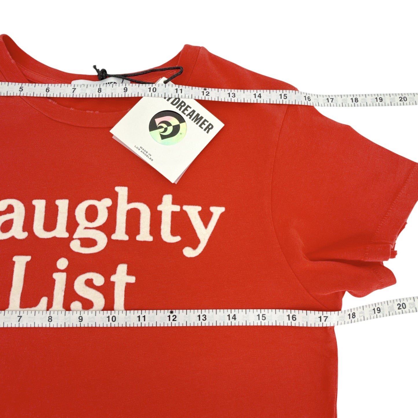 DAYDREAMER Naughty List Vintage Tee in Vintage Red L