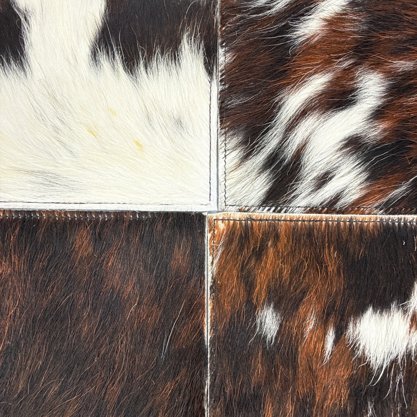 RODEO Cowhide Placemats || Set of 4