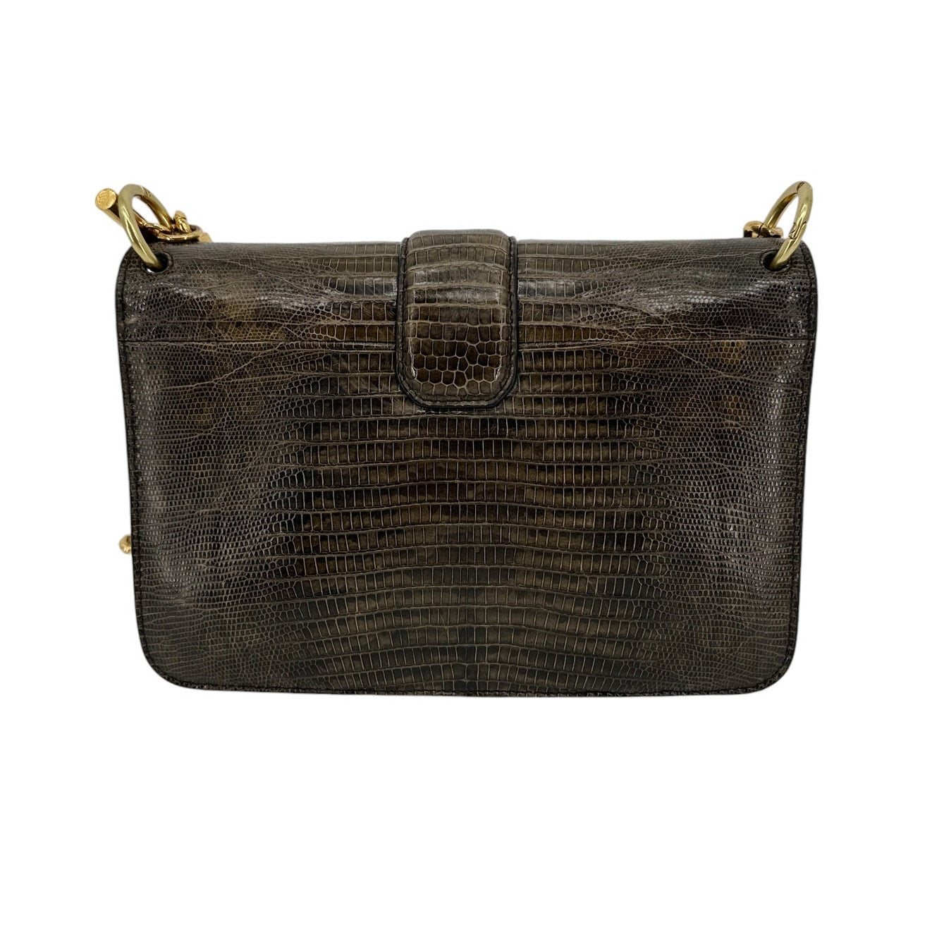 TOM FORD Tara Chain Tejus Lizard Shoulder Bag