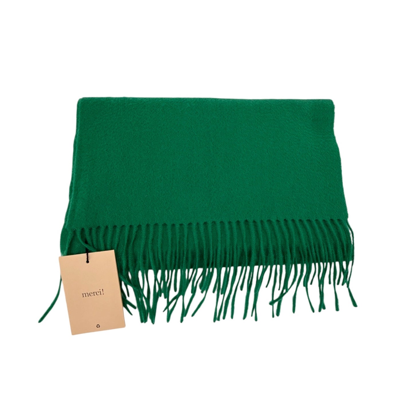 LA LIGNE Ben Cashmere Scarf in Emerald