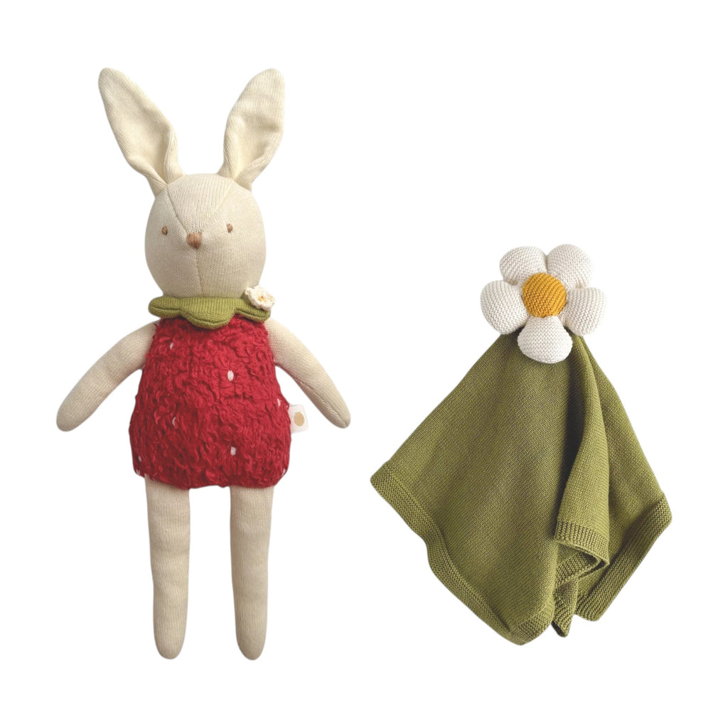 THE BLUEBERRY HILL Strawberry Bunny Baby Gift Basket: Wicker Suitcase The Blueberry Hill