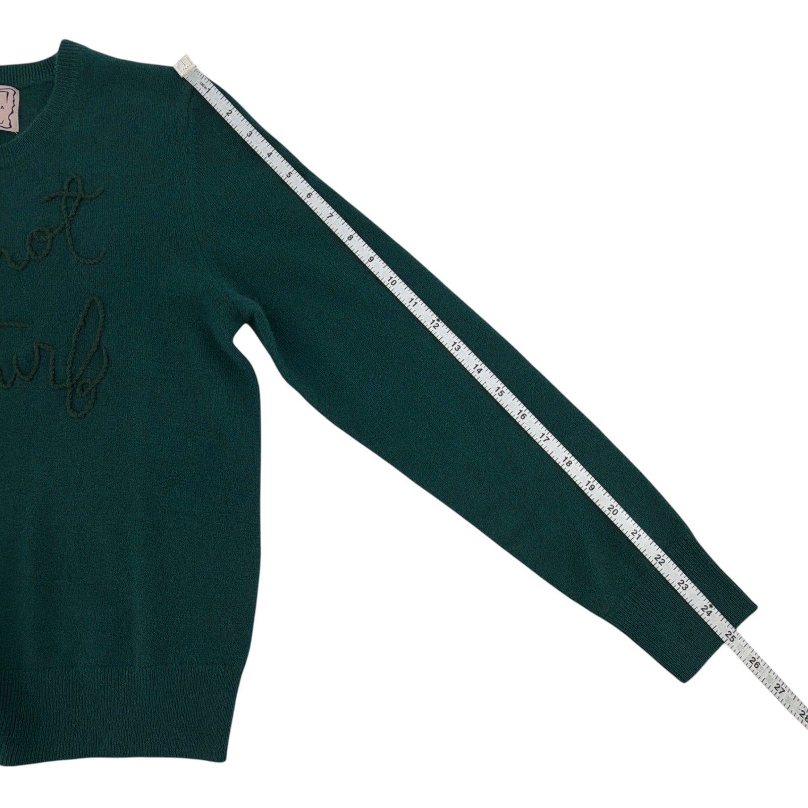 LINGUA FRANCA Do Not Disturb Cashmere Crewneck Sweater in Hunter M LINGUA FRANCA