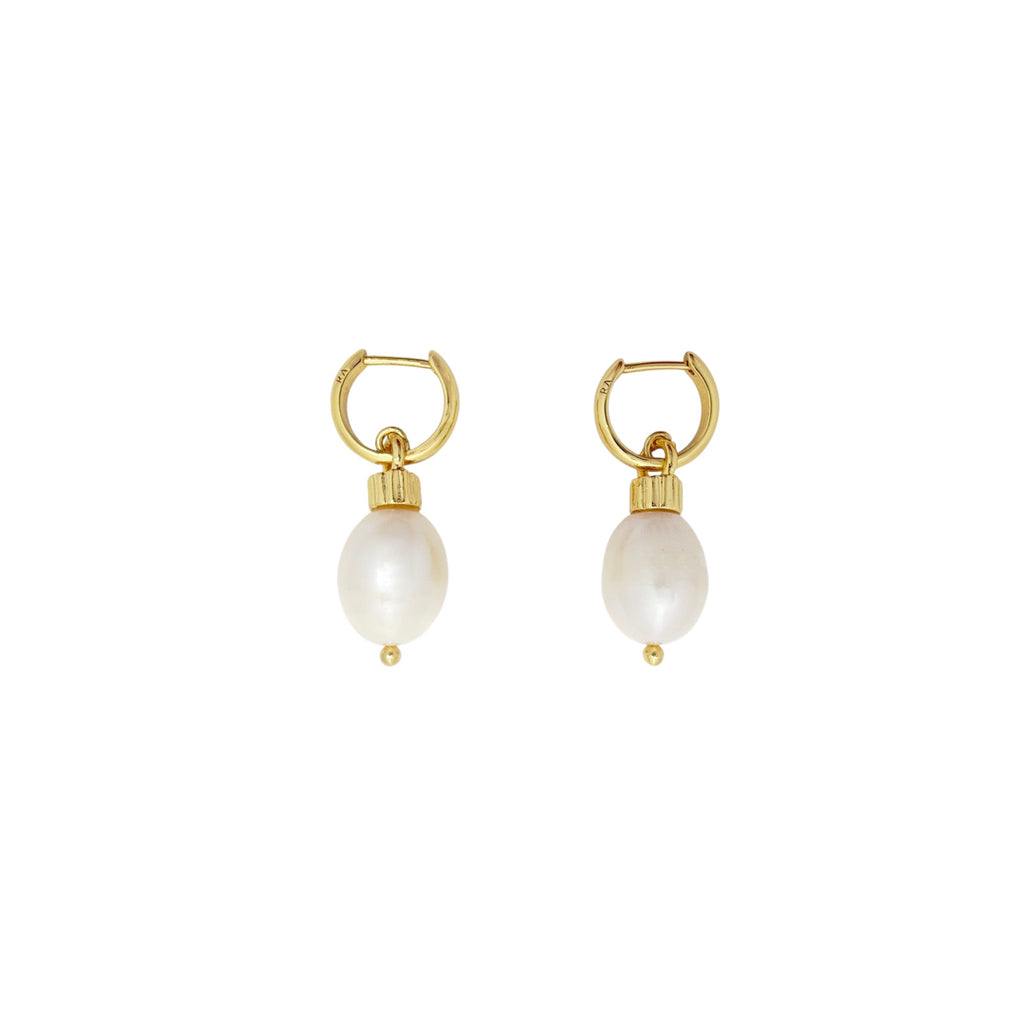 ROXANNE ASSOULIN The Pearl Drop Earrings in Shiny Gold & Freshwater Pearl