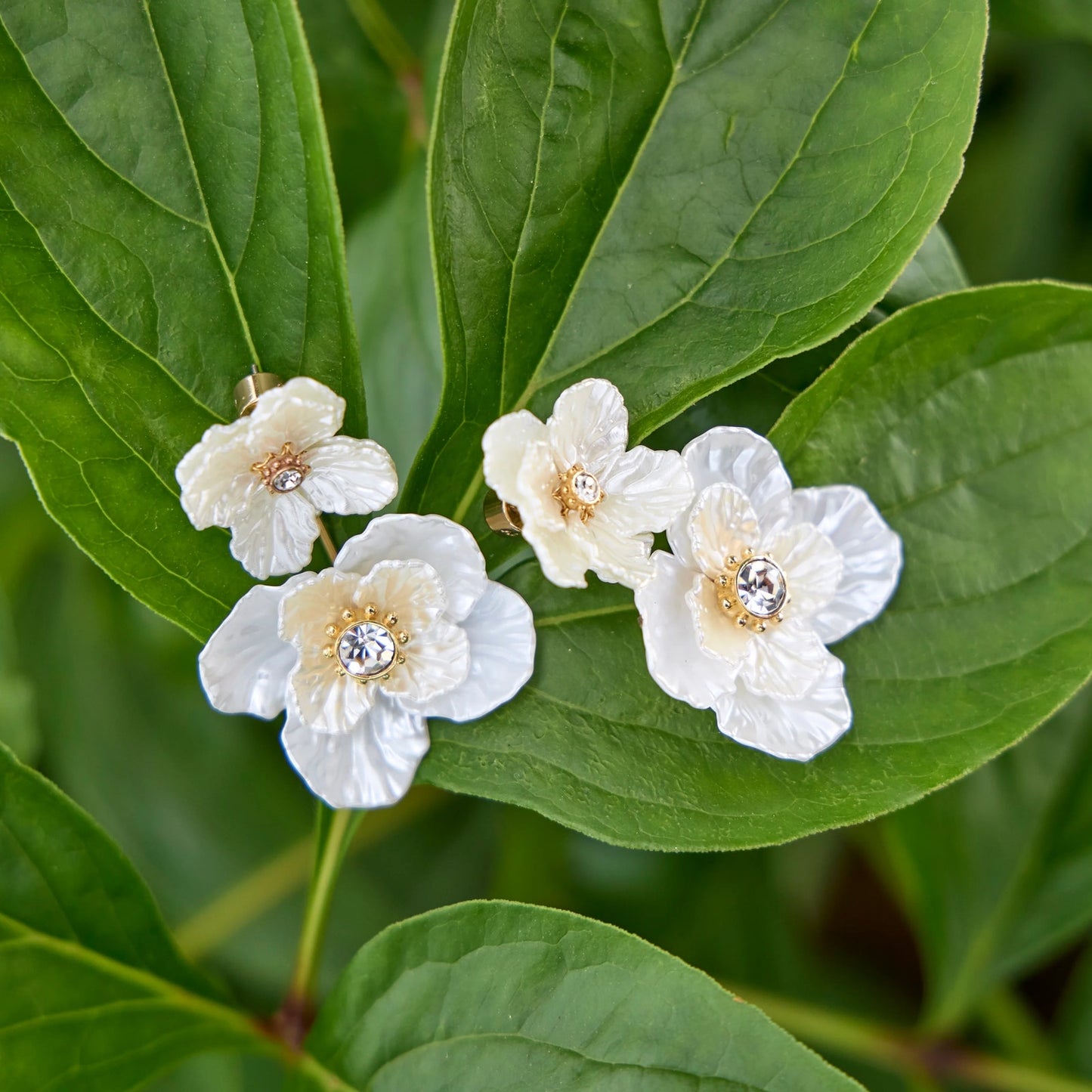 ALEX+ANI New York Botanical Garden Poppy Statement Earrings