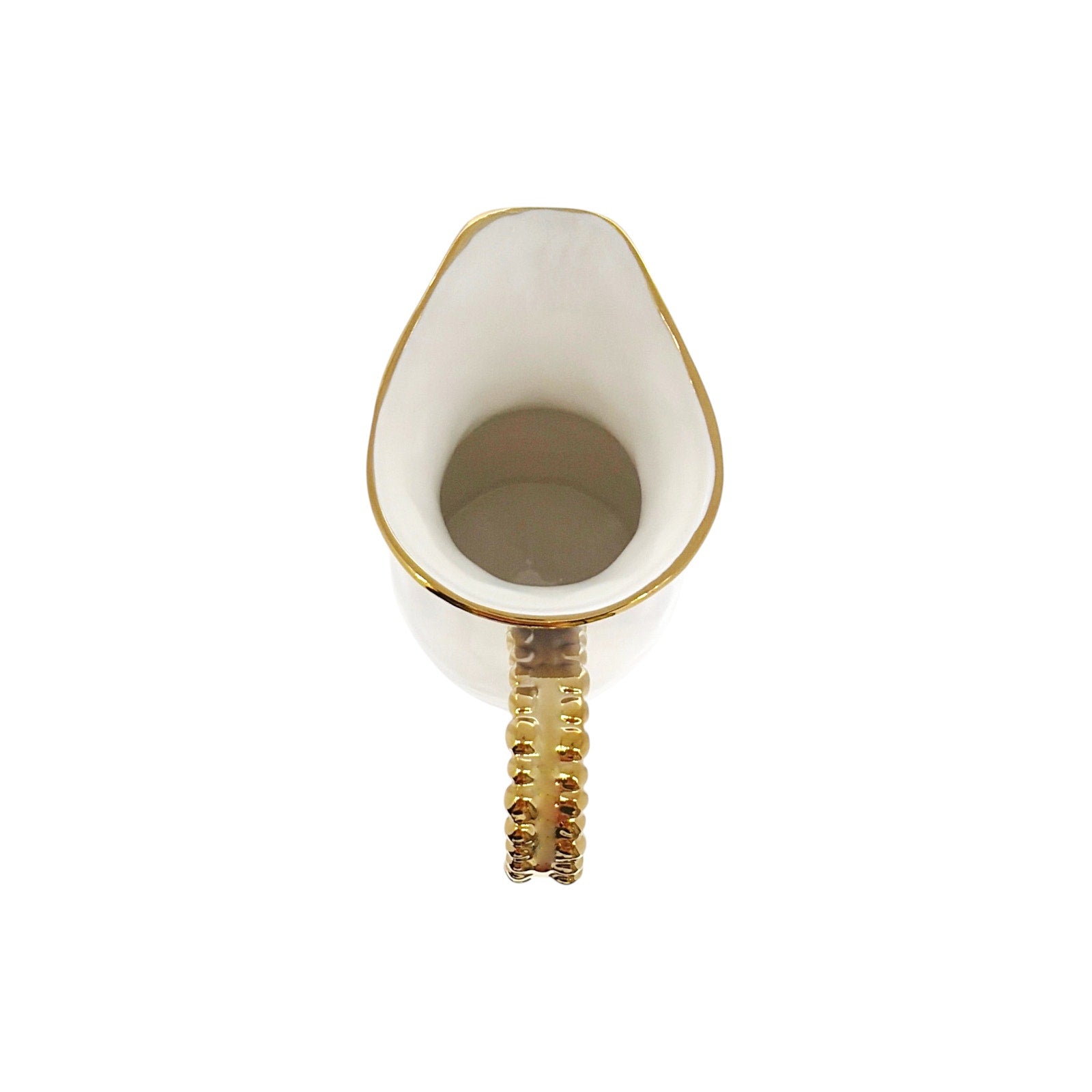 PAMPA BAY Golden Salerno Pitcher Pampa Bay