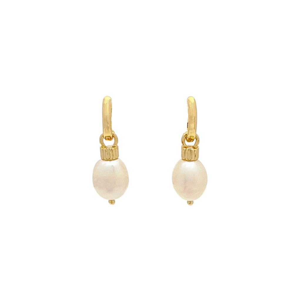 ROXANNE ASSOULIN The Pearl Drop Earrings in Shiny Gold & Freshwater Pearl