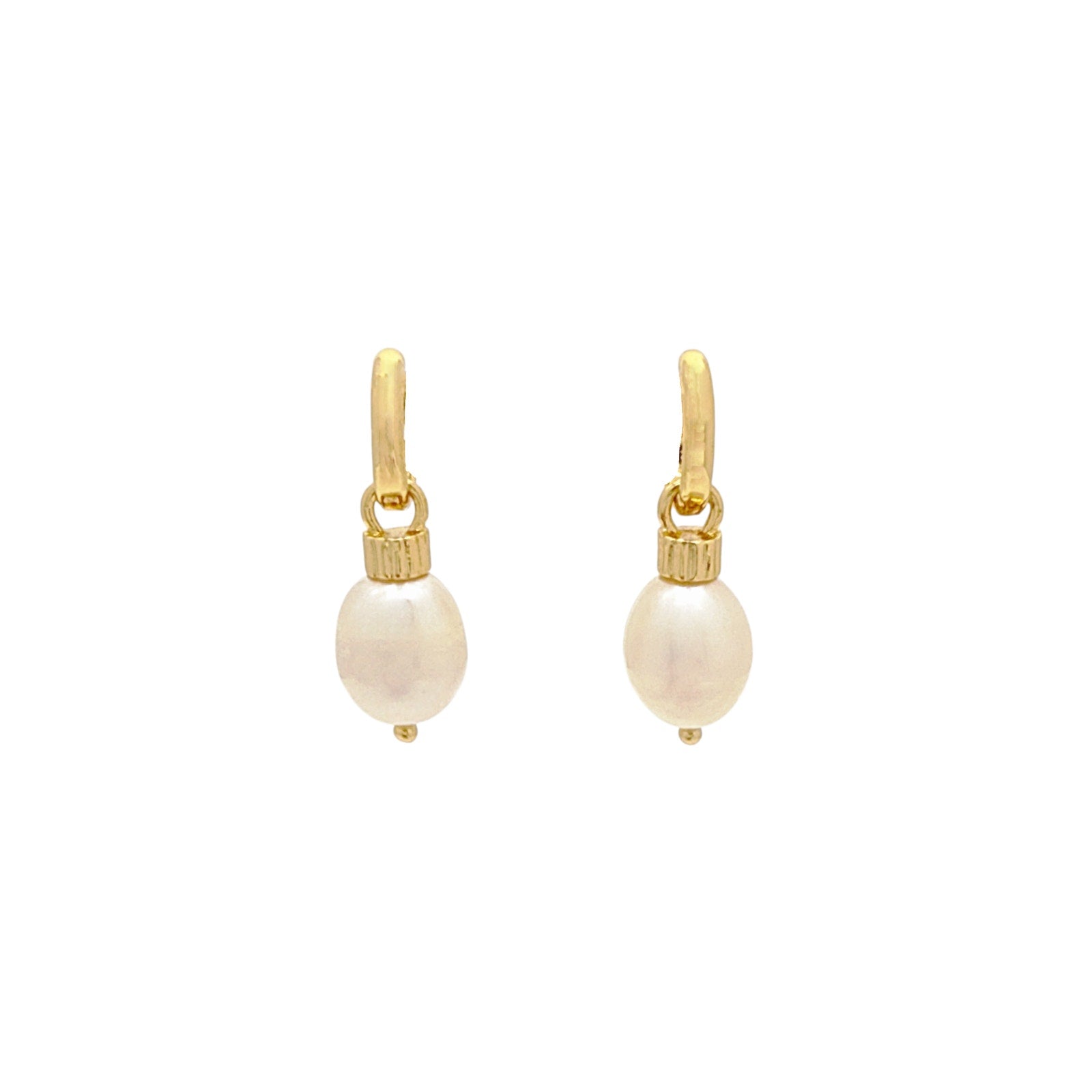 ROXANNE ASSOULIN The Pearl Drop Earrings in Shiny Gold & Freshwater Pearl