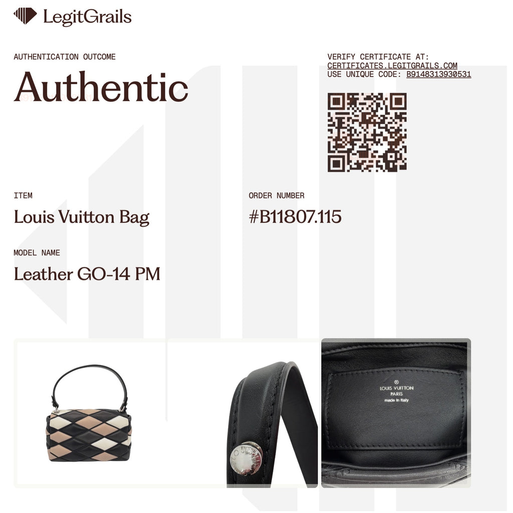 LOUIS VUITTON Leather GO-14 PM Patchwork Malletage Pattern Louis Vuitton
