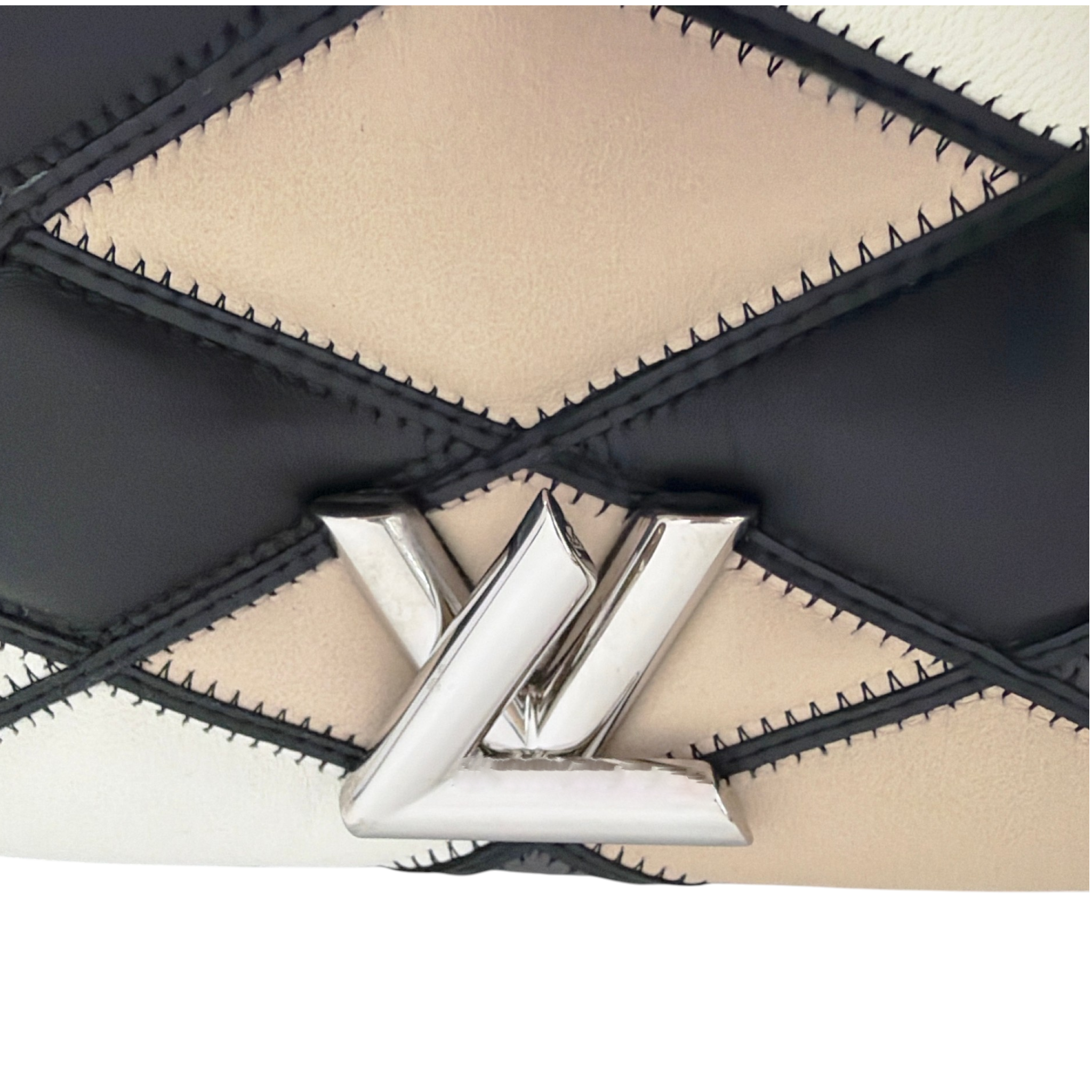 LOUIS VUITTON Leather GO-14 PM Patchwork Malletage Pattern Louis Vuitton