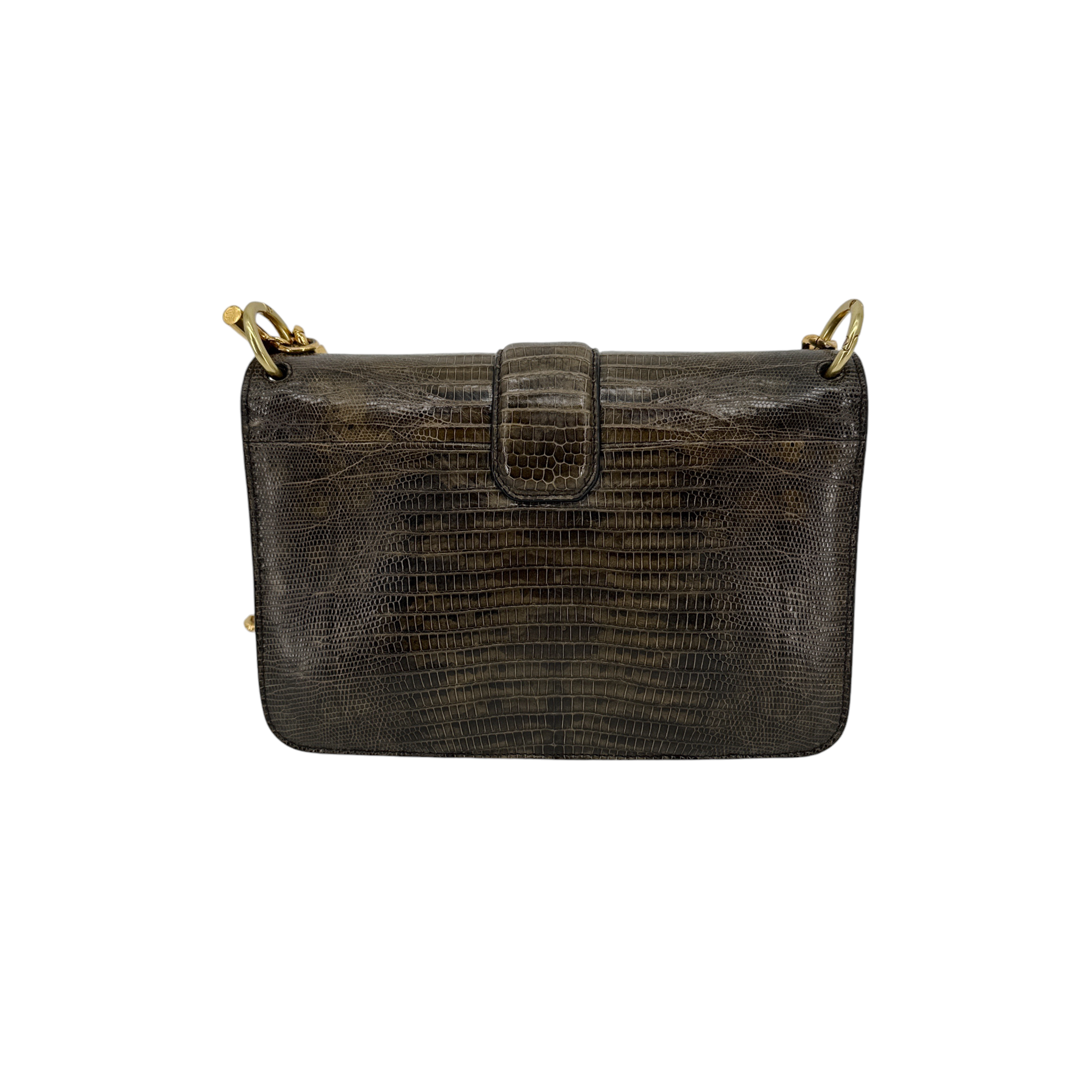 TOM FORD Tara Chain Tejus Lizard Shoulder Bag Tom Ford