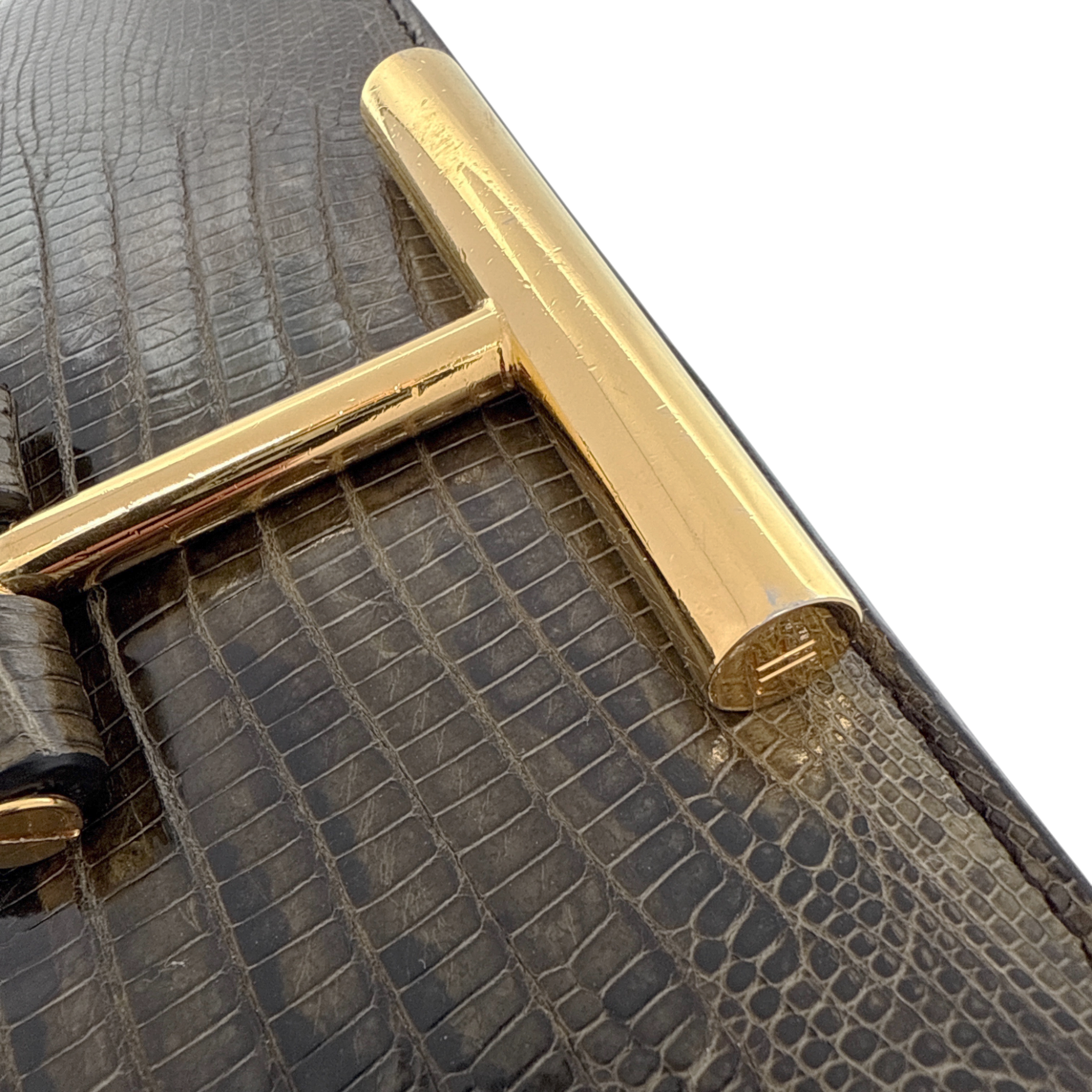 TOM FORD Tara Chain Tejus Lizard Shoulder Bag Tom Ford