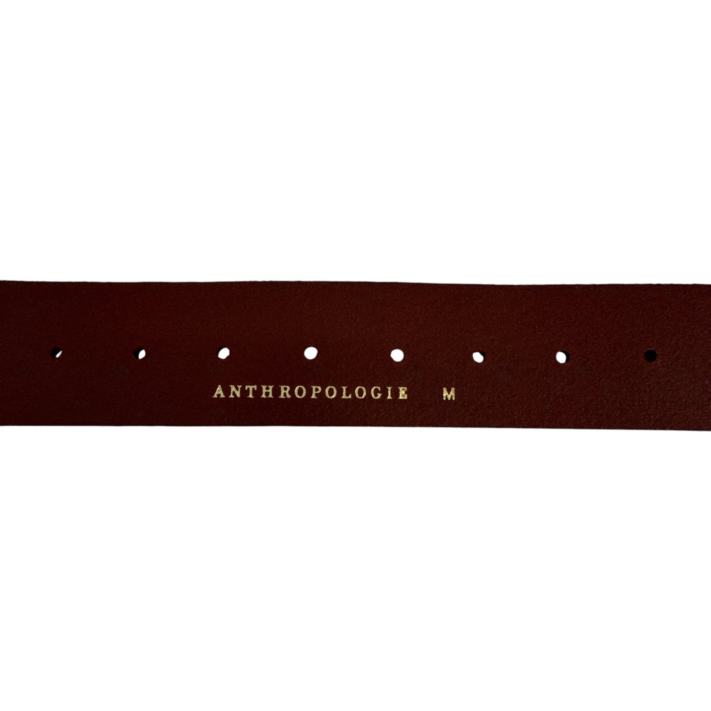 ANTHROPOLOGIE Adjustable Square Buckle Belt in Brown M