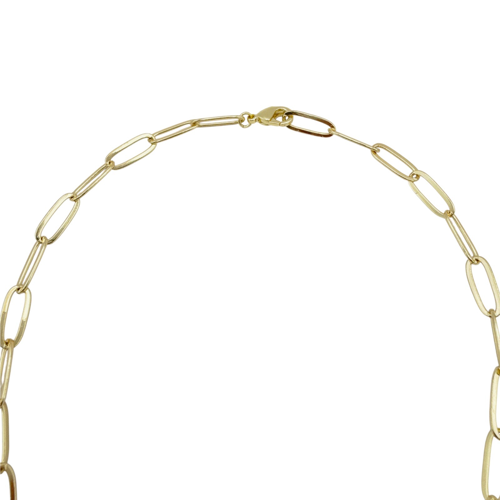 THE SILVER WREN Heart Carabiner Charm Holder Necklace