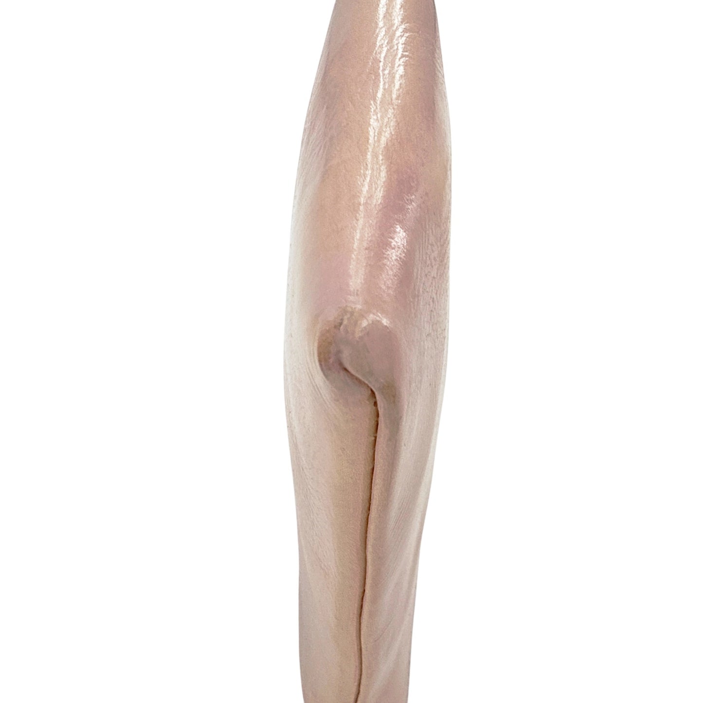 CLARE V. Lauren Supreme Crossbody Bag in Ballet & Crossbody Chain Strap