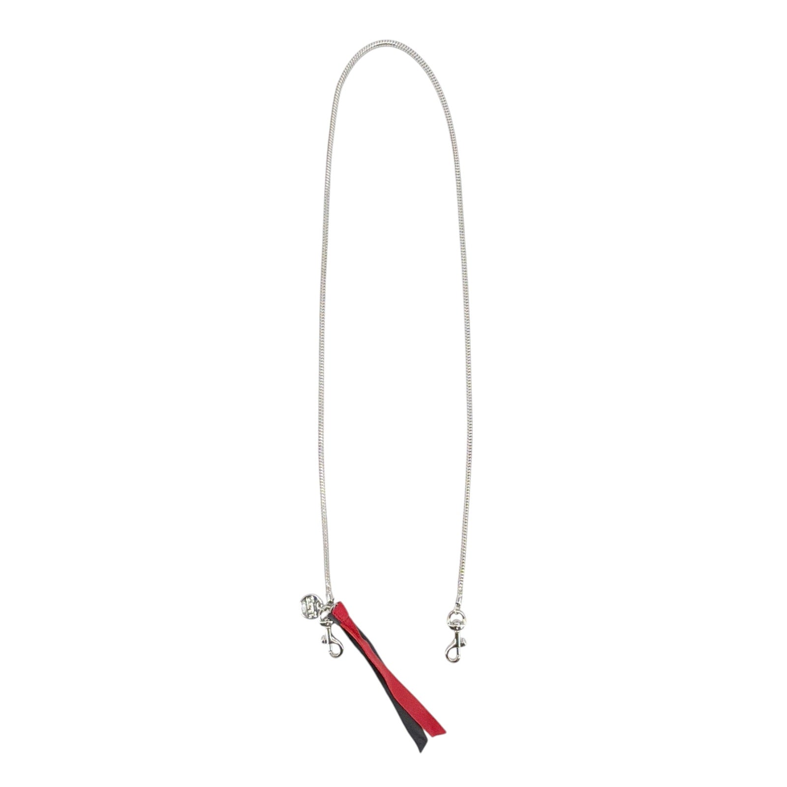CLARE V. Snake Chain Crossbody Strap in Silver Clare V.