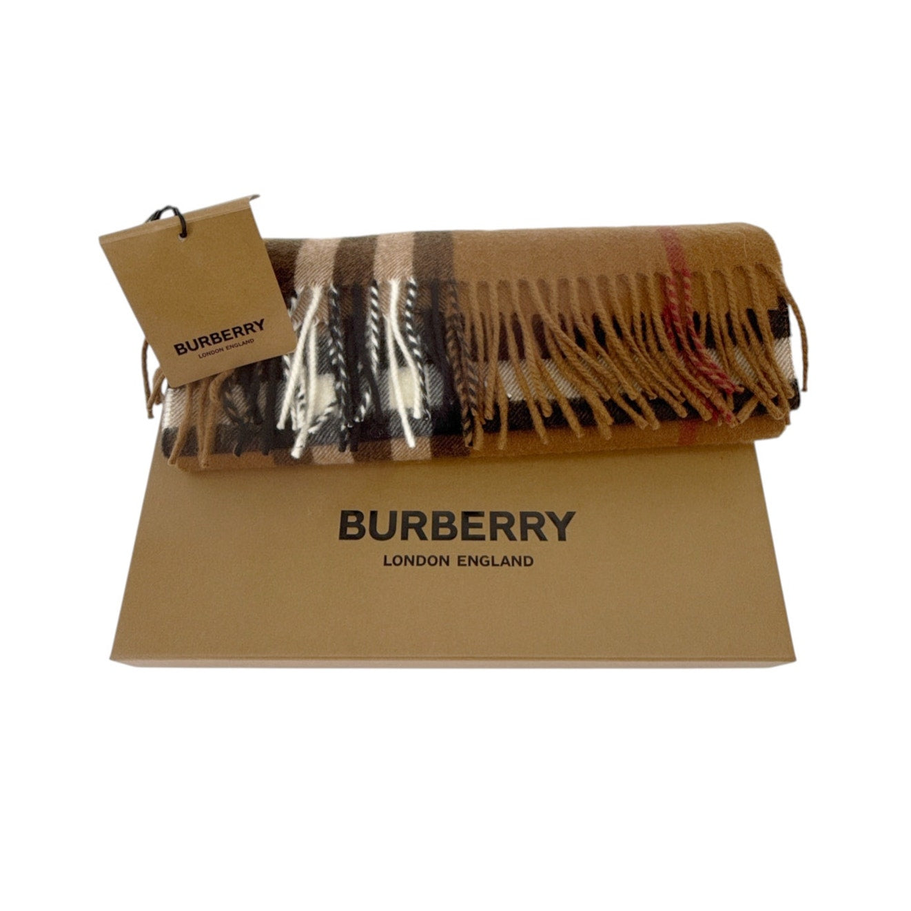 BURBERRY Giant Check Cashmere Scarf in Birch Brown