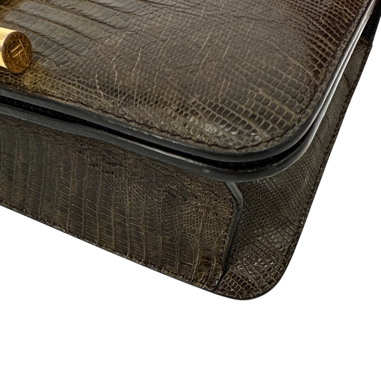 TOM FORD Tara Chain Tejus Lizard Shoulder Bag