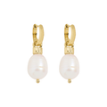 ROXANNE ASSOULIN The Pearl Drop Earrings in Shiny Gold & Freshwater Pearl
